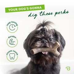 Benebone Maplestick durable chew promoting long-lasting small-dog activity