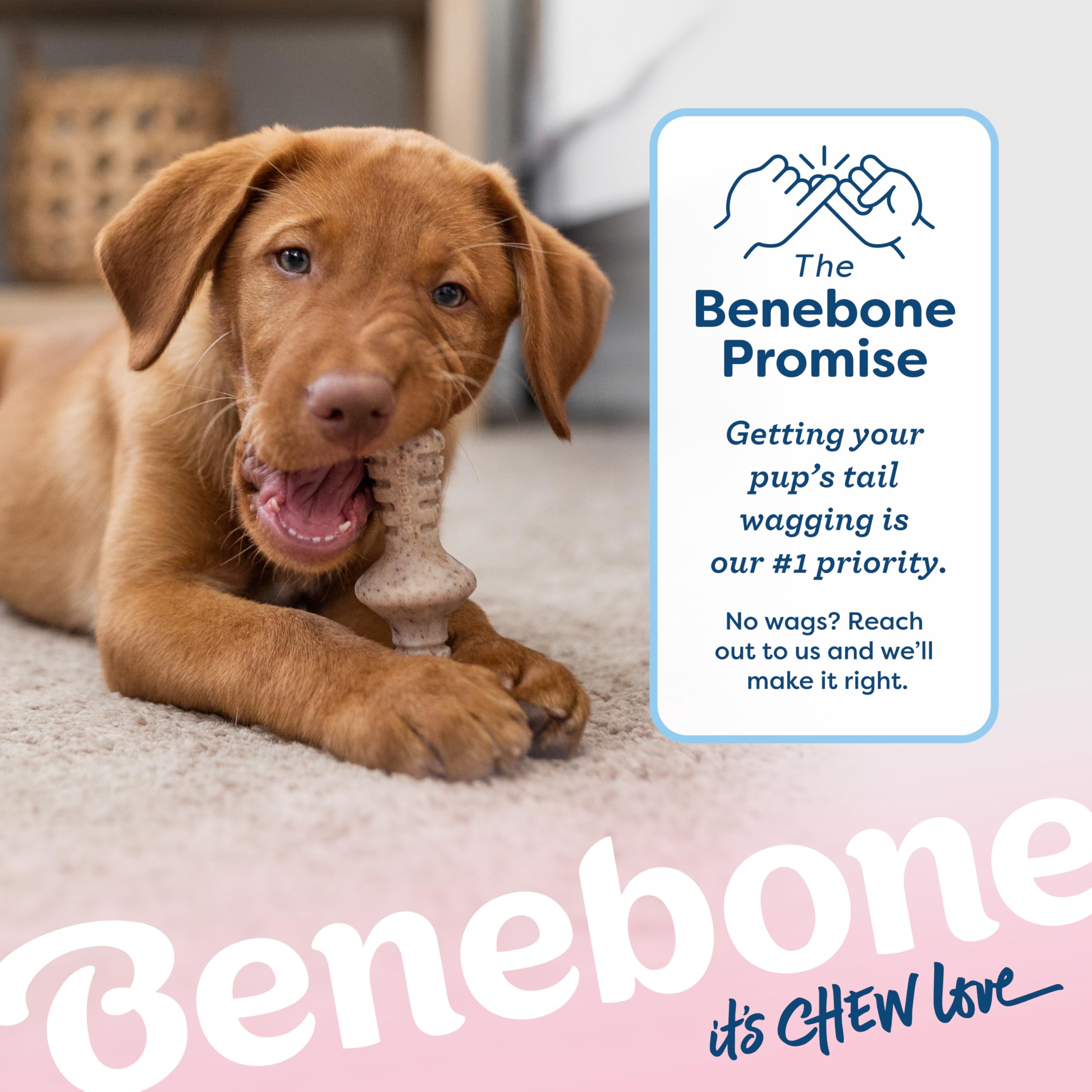 Benebone Puppy Maplestick Zaggler, paquete de dos para comparar opciones
