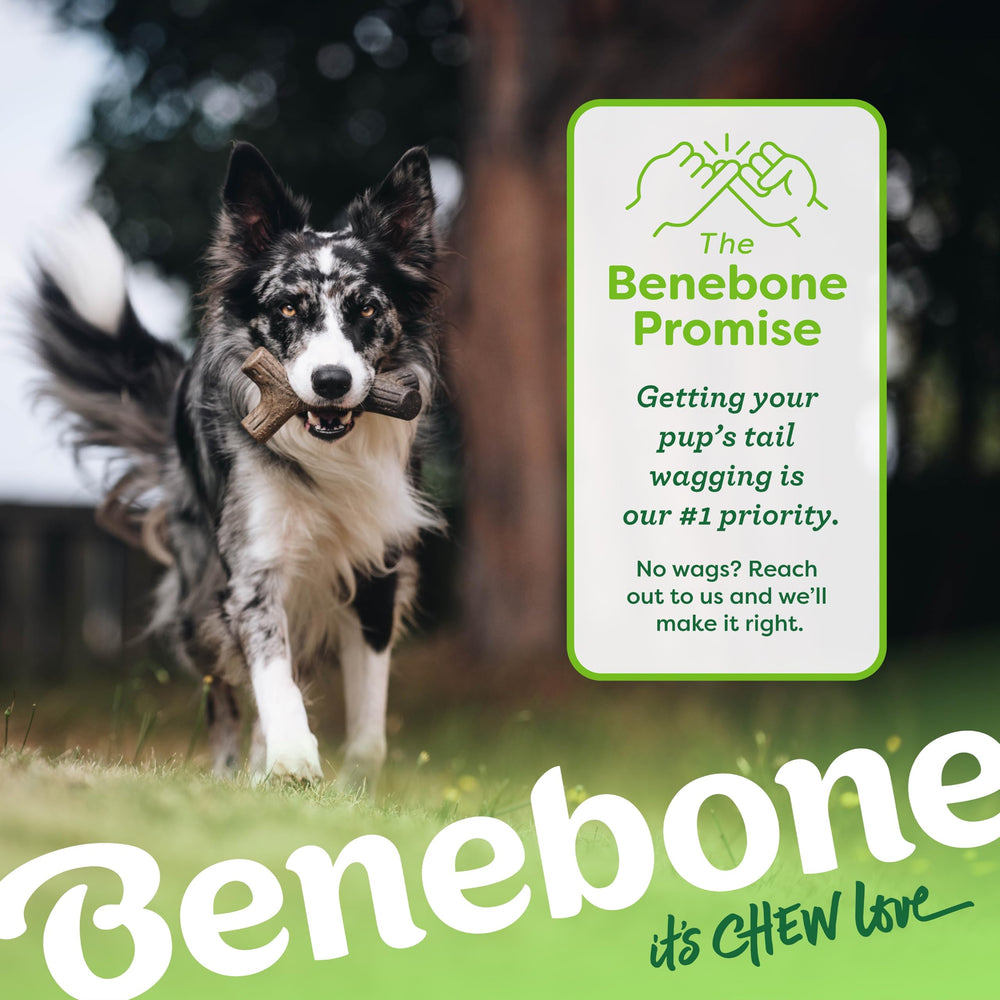 Benebone two-pack dog chews offering variety for tiny breeds