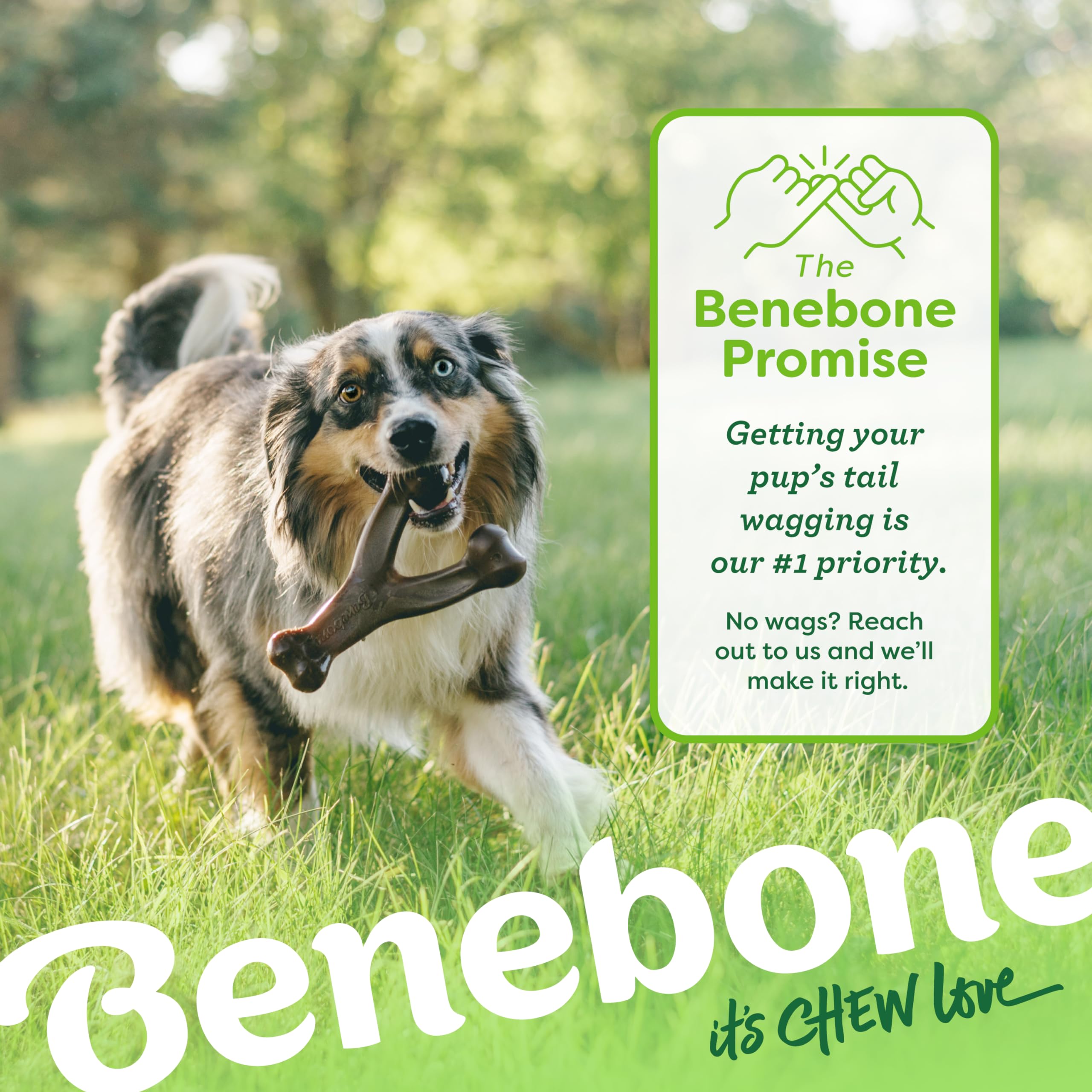 Benebone Wishbone dog-chewing-action showcases engagement and durable play.