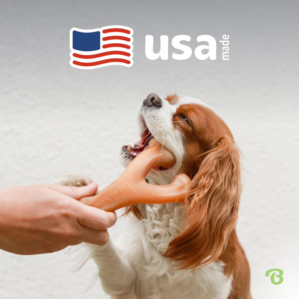 Benebone Wishbone suitable for all breed sizes in versatile chewing sessions