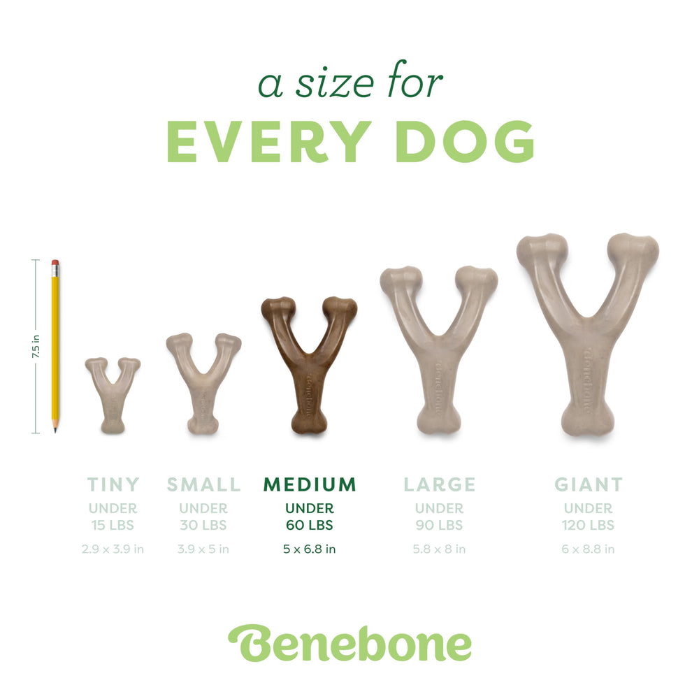 Benebone Wishbone hecho en Estados Unidos, alta calidad y seguridad.