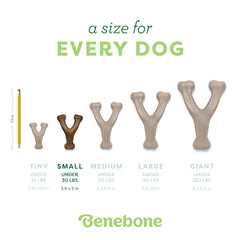 Benebone Wishbone made-in-usa showcases domestic sourcing and quality.
