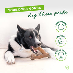 Benebone Wishbone paw-friendly-grip eases grabbing and chewing for pups