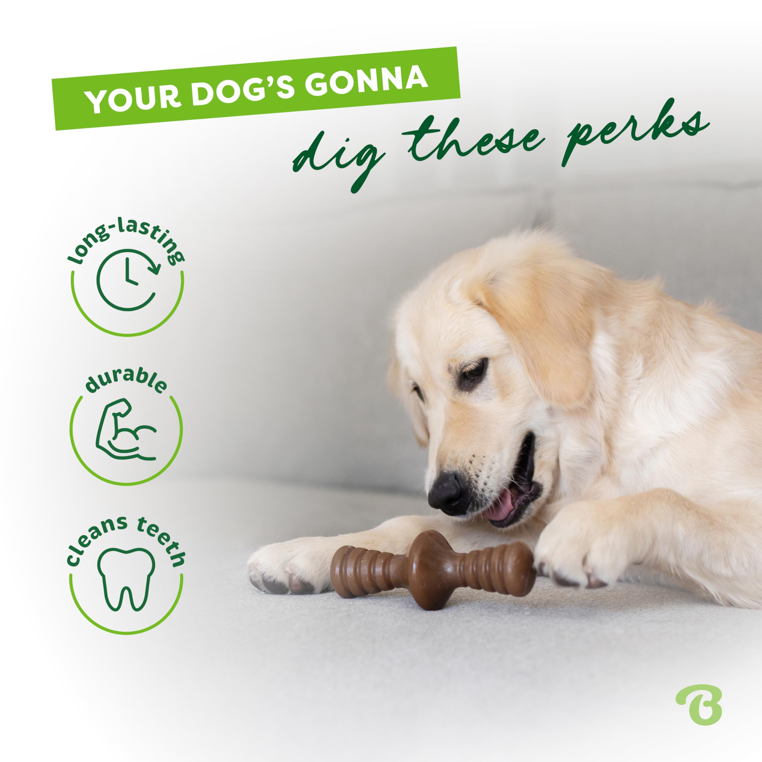 Benebone Zaggler durable nylon construction withstands tough chewers.
