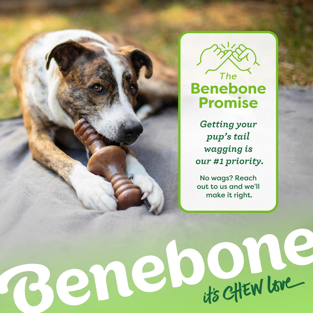 Benebone Zaggler medium size fits mid-sized pups for versatile play.