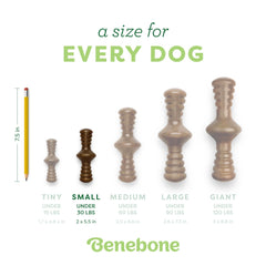 Benebone Zaggler-usa-made-label showcases domestic production and quality control.