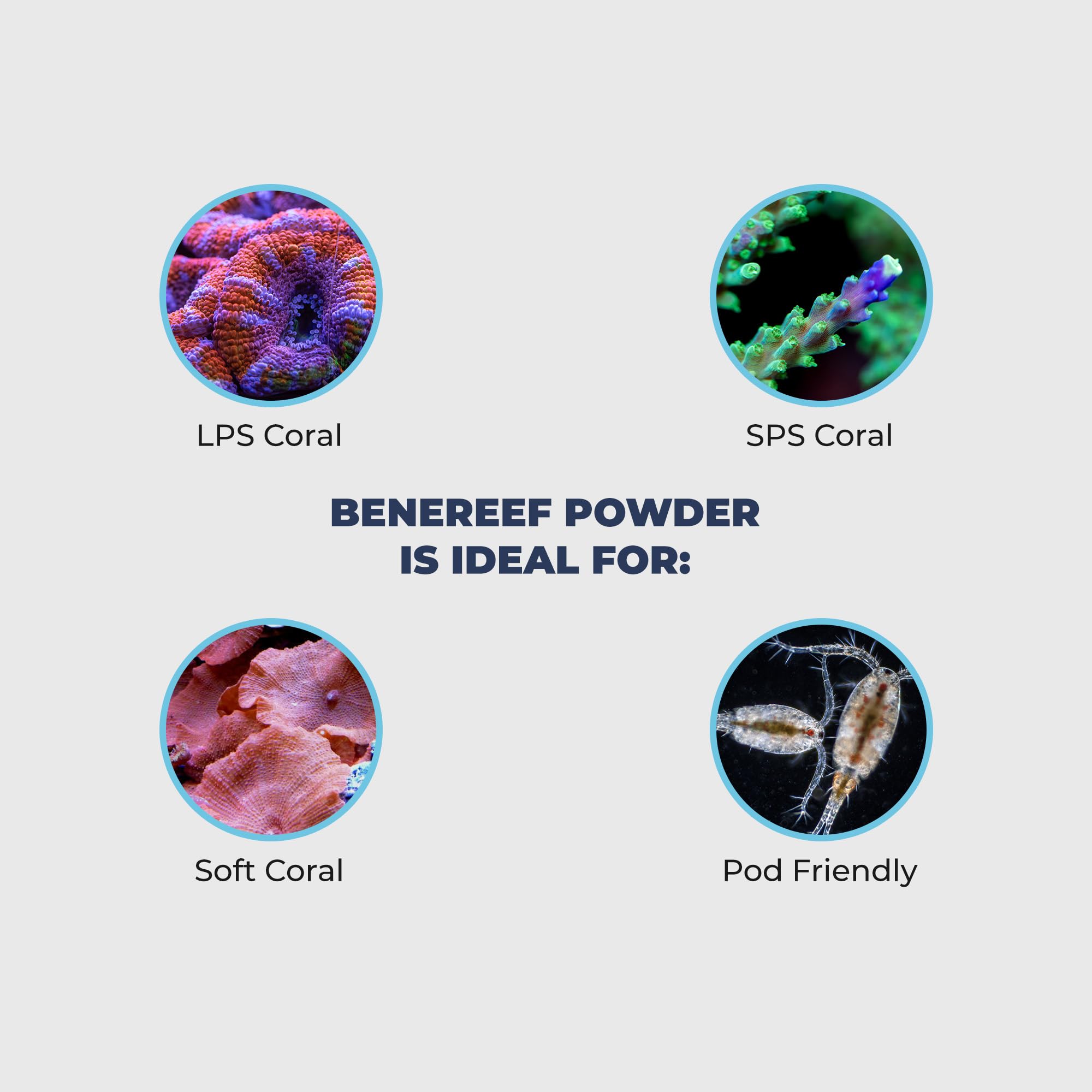 Benepets BeneReef reef food ingredients blend nourishes corals with proteins and phytonutrients