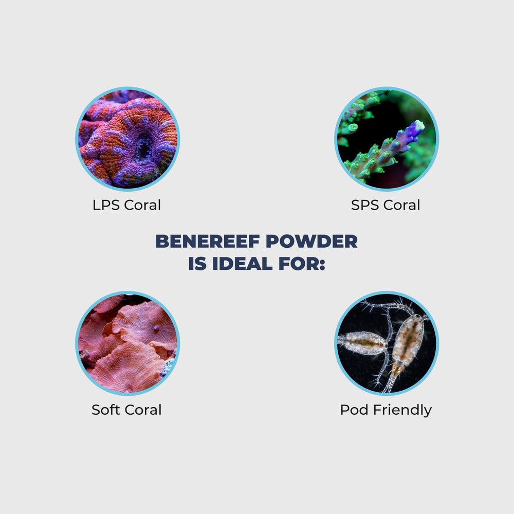 Benepets BeneReef reef food ingredients blend nourishes corals with proteins and phytonutrients
