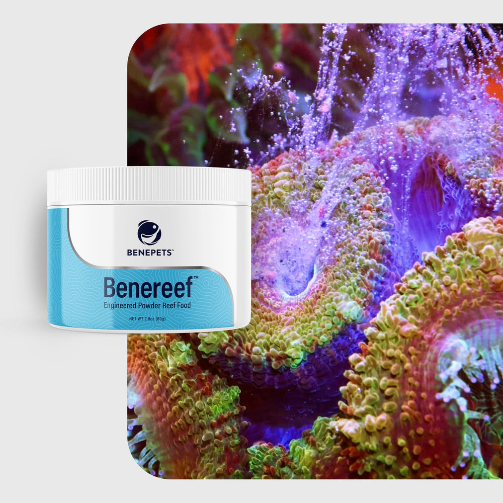 Benepets BeneReef helps maintain healthier water by delivering nutrients without overloading tank
