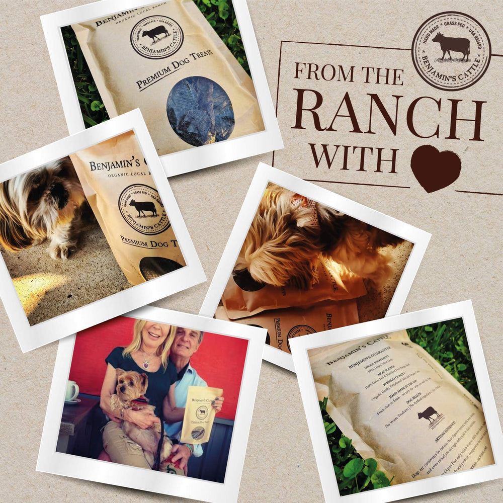 Benjamin's Cattle taurine and omega-3 rich liver treats detail