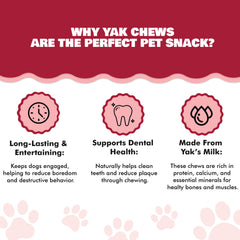 Benji & Louie Yak Chews medium dog chew held for dogs, showcasing size-appropriate engagement.