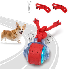 BENTOPAL dog ball closeup showing durable surface for energetic play