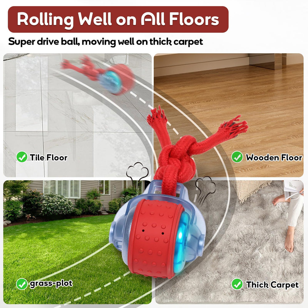 BENTOPAL dog ball in use during fast mode for high-energy chases