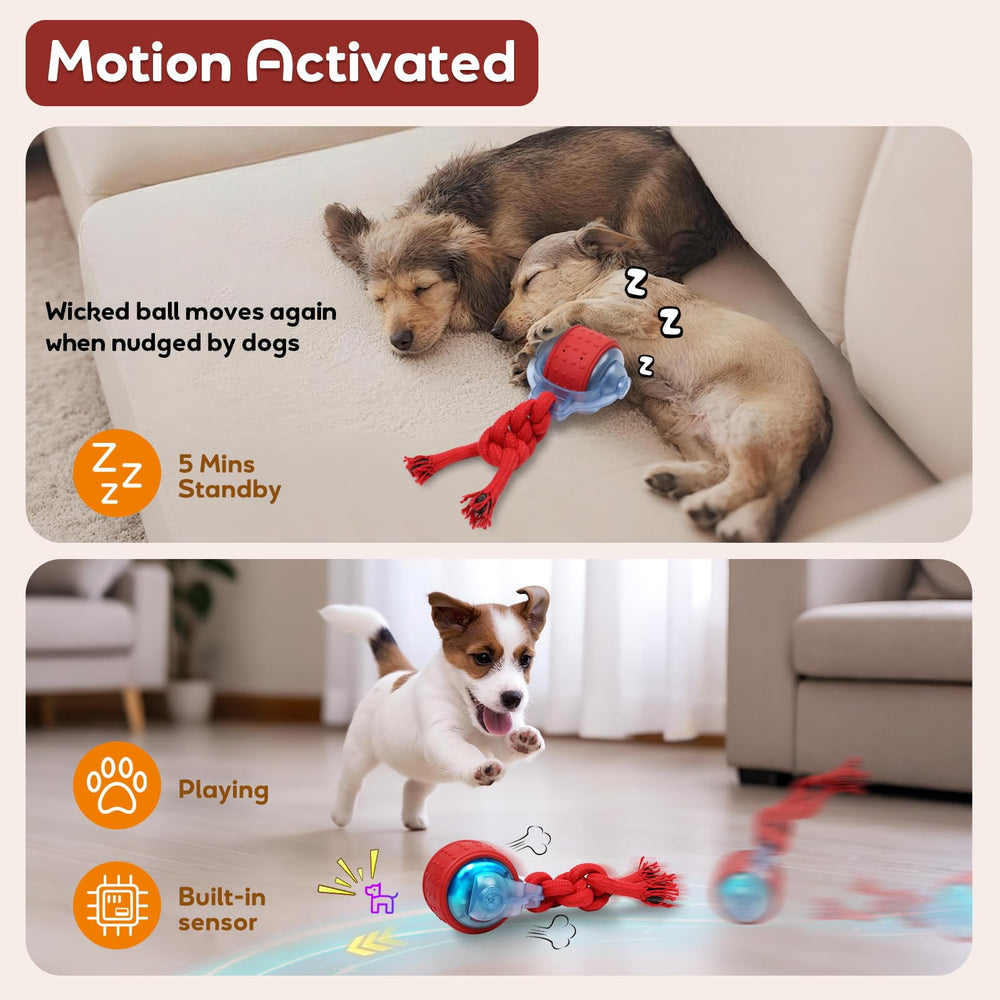 BENTOPAL dog ball in interactive mode with random turns for instincts
