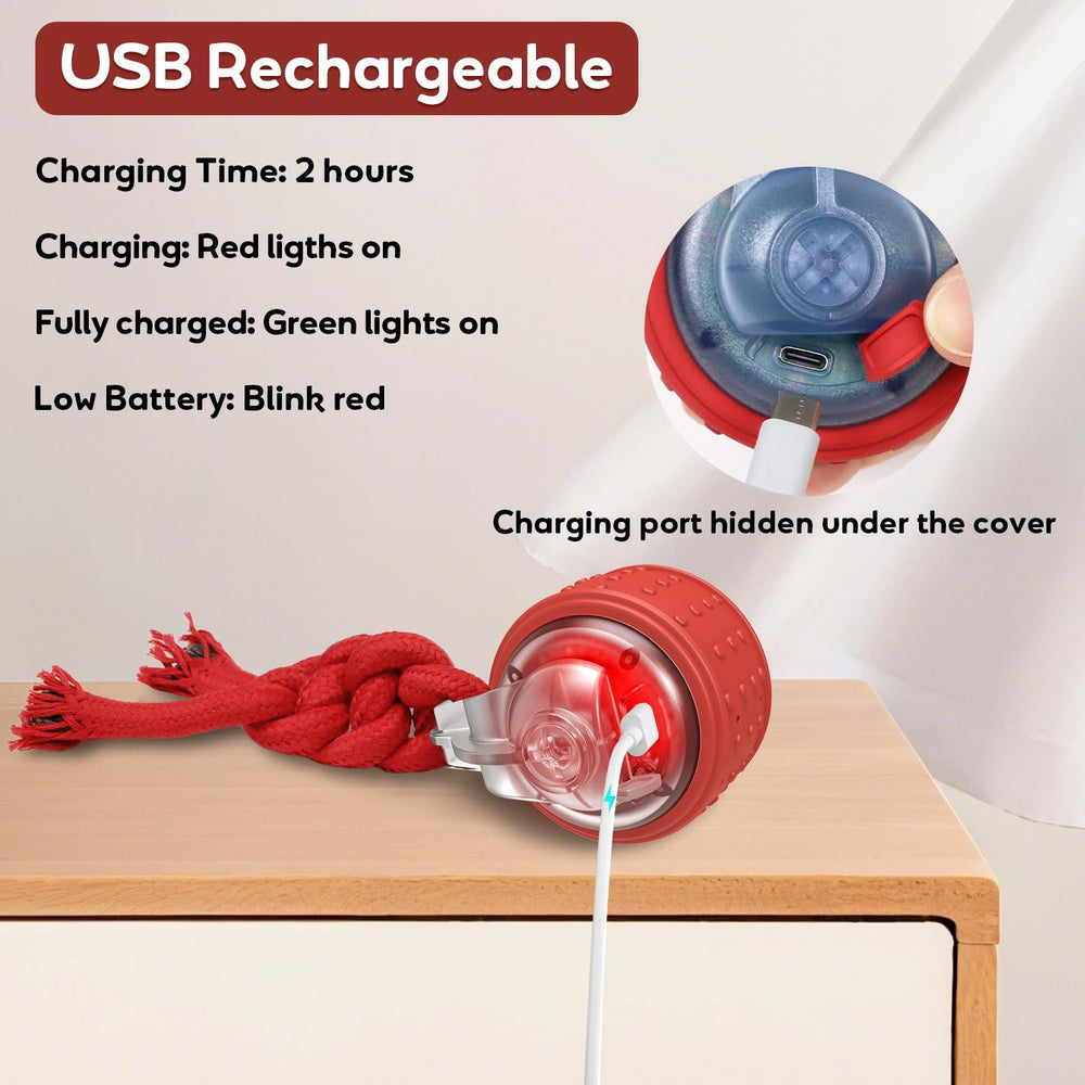 BENTOPAL dog ball charging via USB-C for cordless play