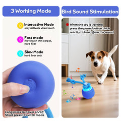 BENTOPAL tres modos de juego con luces indicadoras para cada perro.