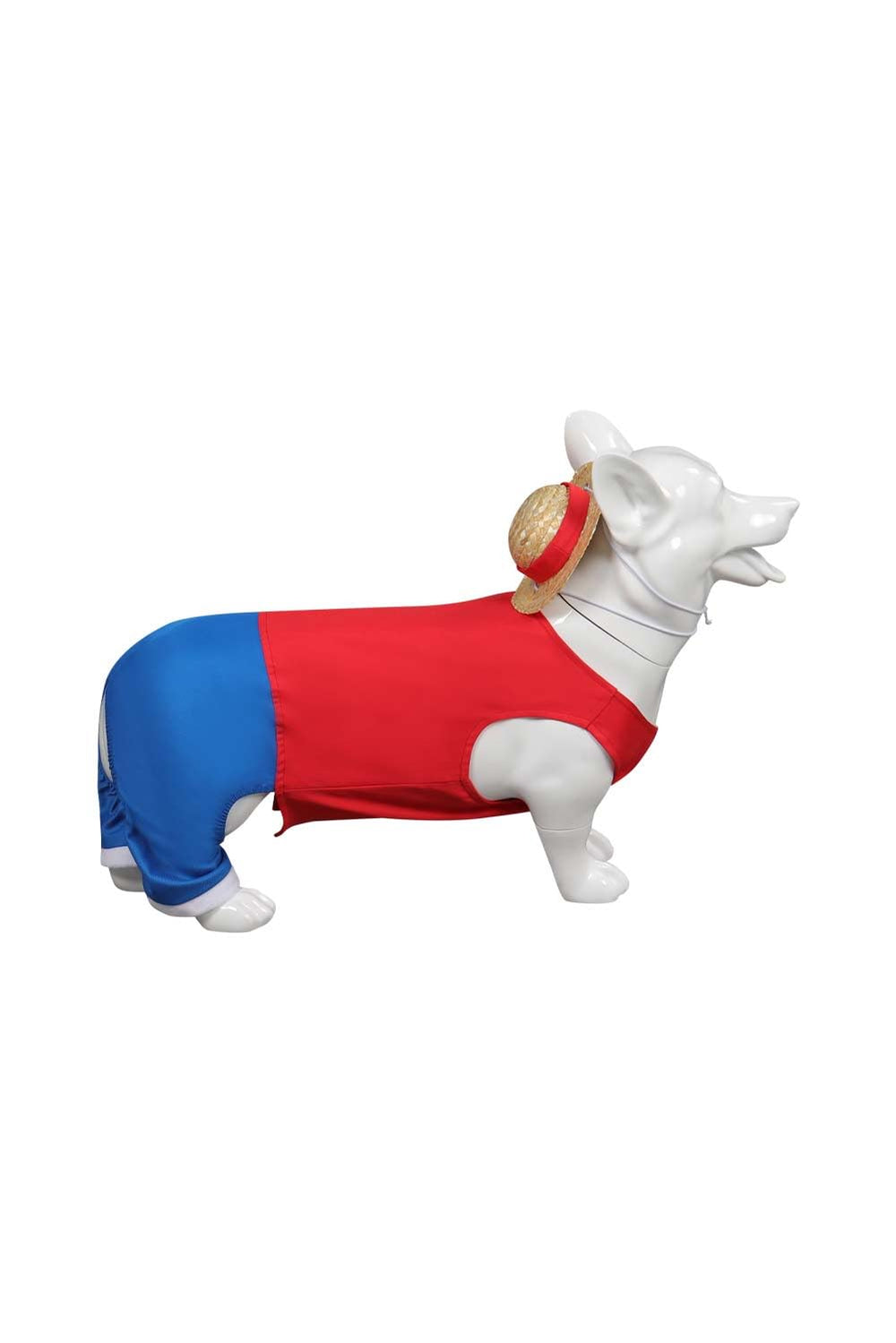 Beowyro dog-costume-lifestyle-owner-outdoor scene demonstrates confident dogs in costume.