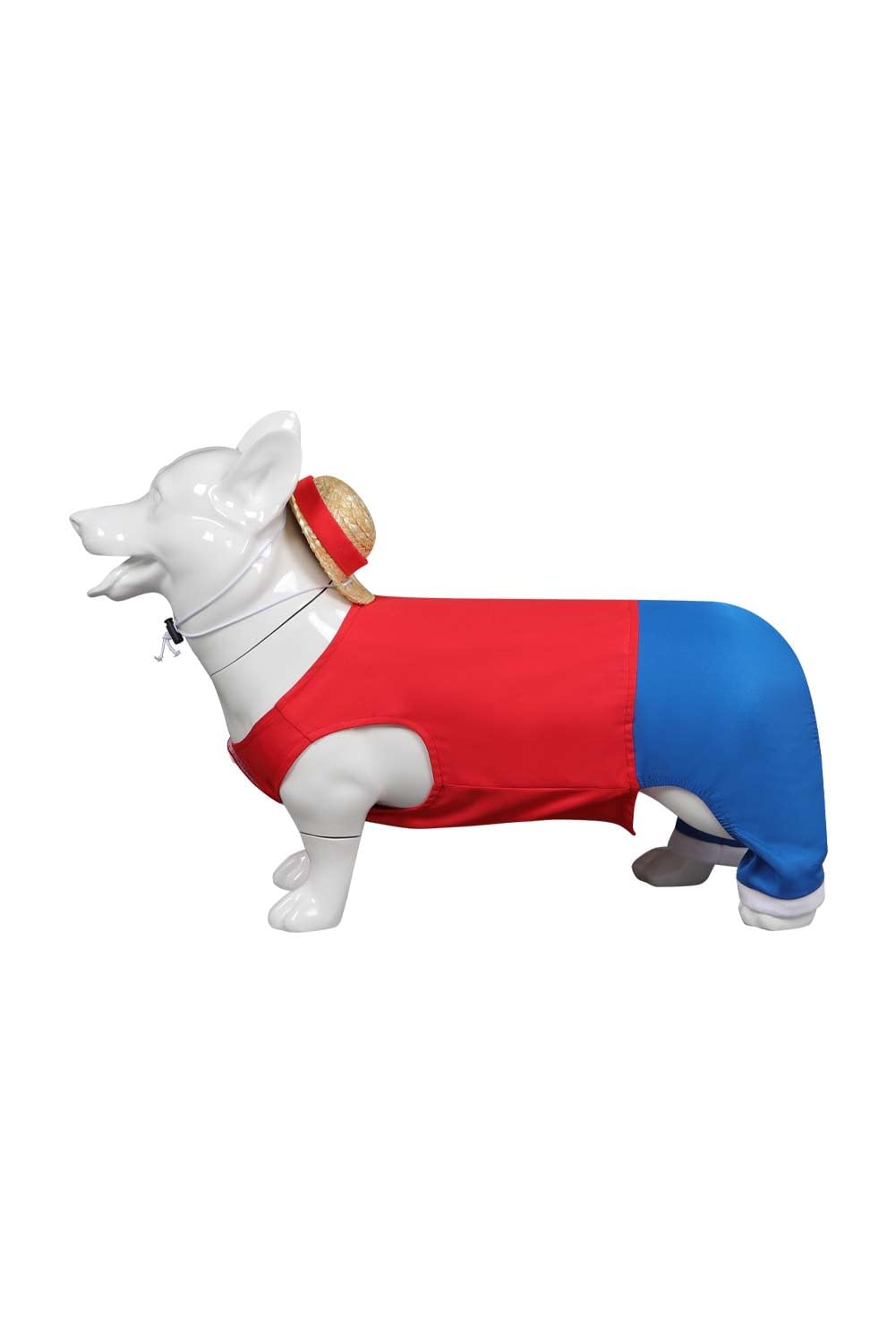 Beowyro dog-costume-packaging-box packaging context ideal for gifting or storage.
