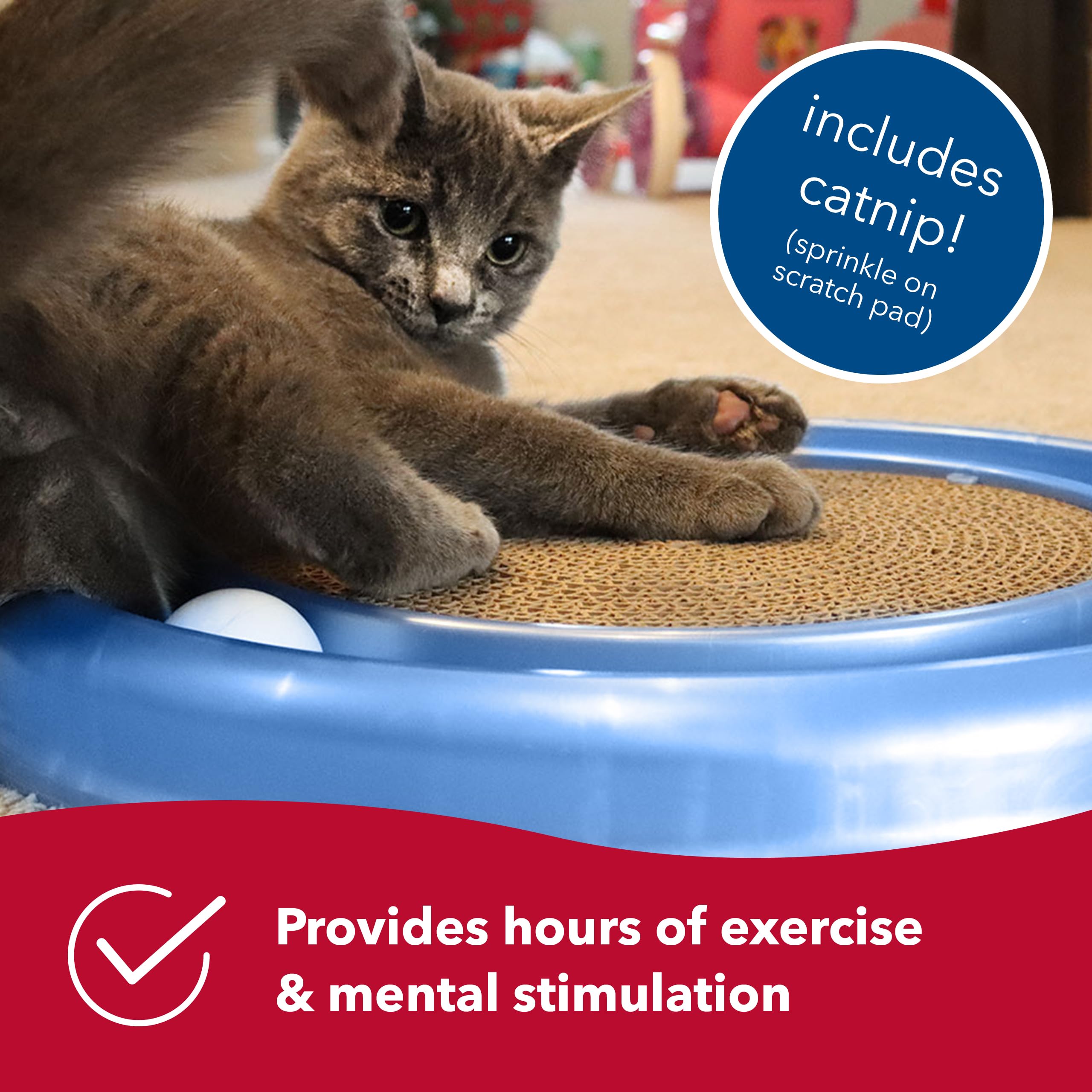 Bergan Coastal Pet Turbo Scratcher catnip-included sparks curious play sessions.