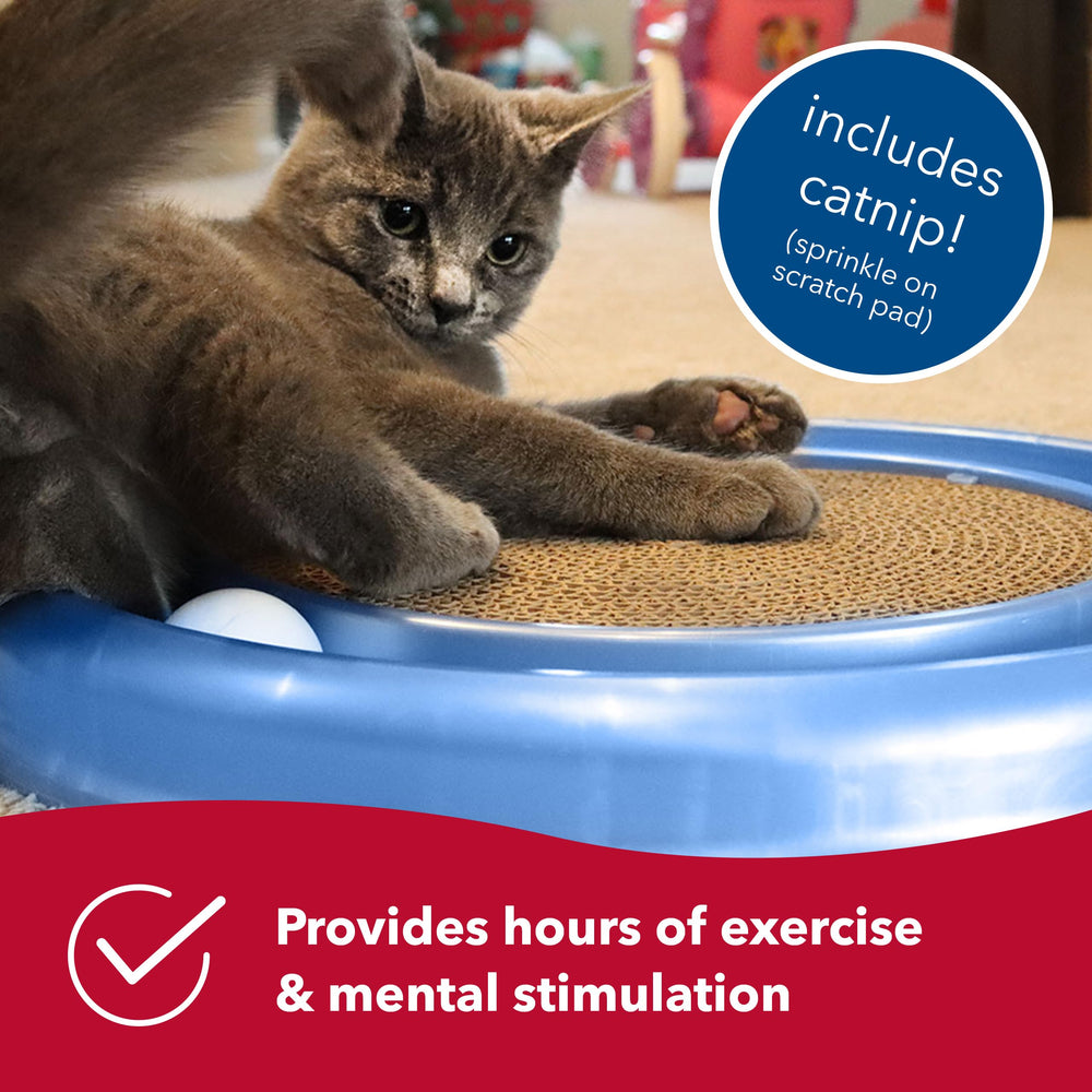 Bergan Coastal Pet Turbo Scratcher catnip-included sparks curious play sessions.