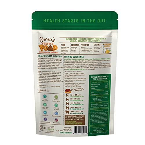 Bernie's 4-in-1 digestive formula powder scoop demonstrates fiber, prebiotics, probiotics and enzymes