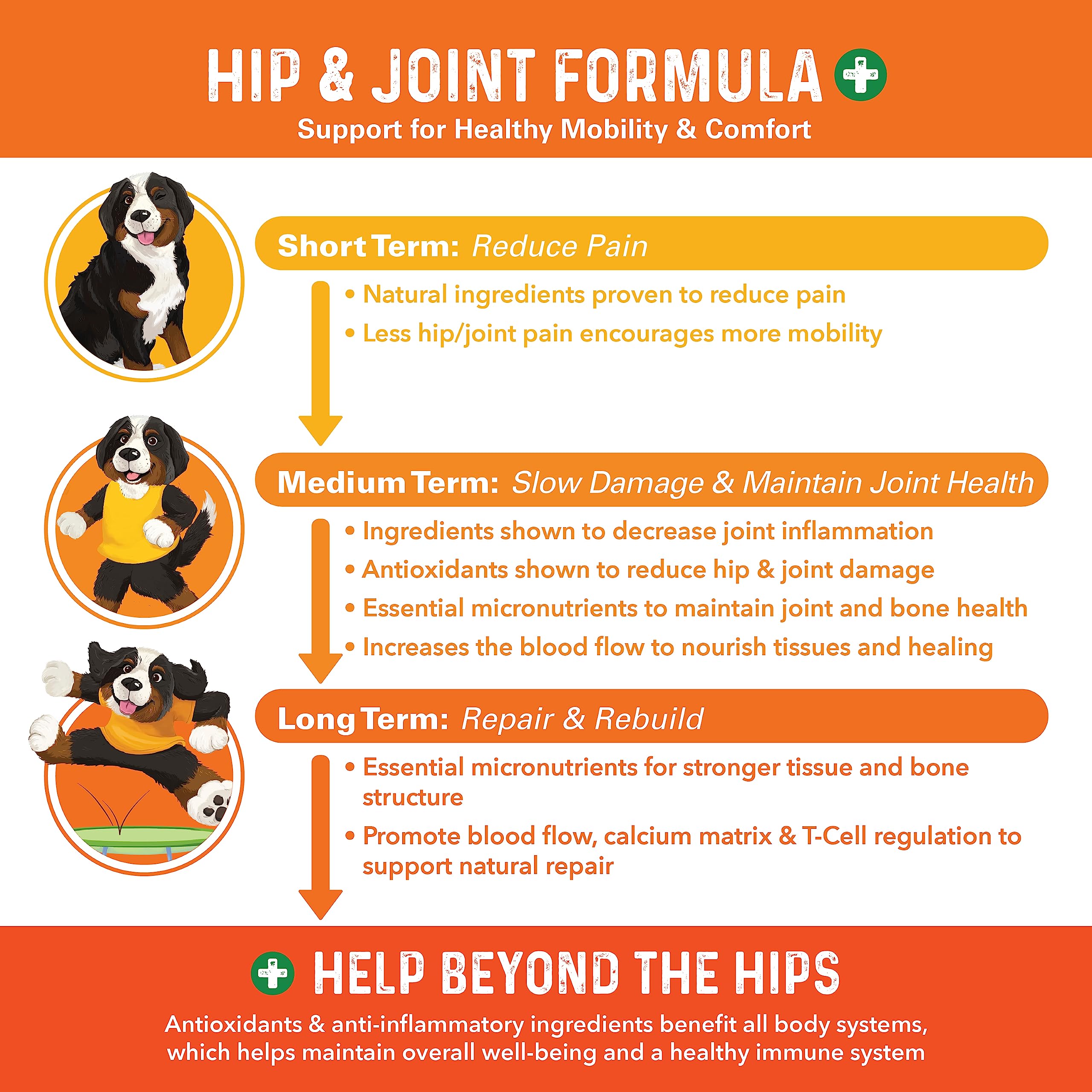 Bernie's Healthy HIPS bottle close-up highlights natural joint health ingredients.