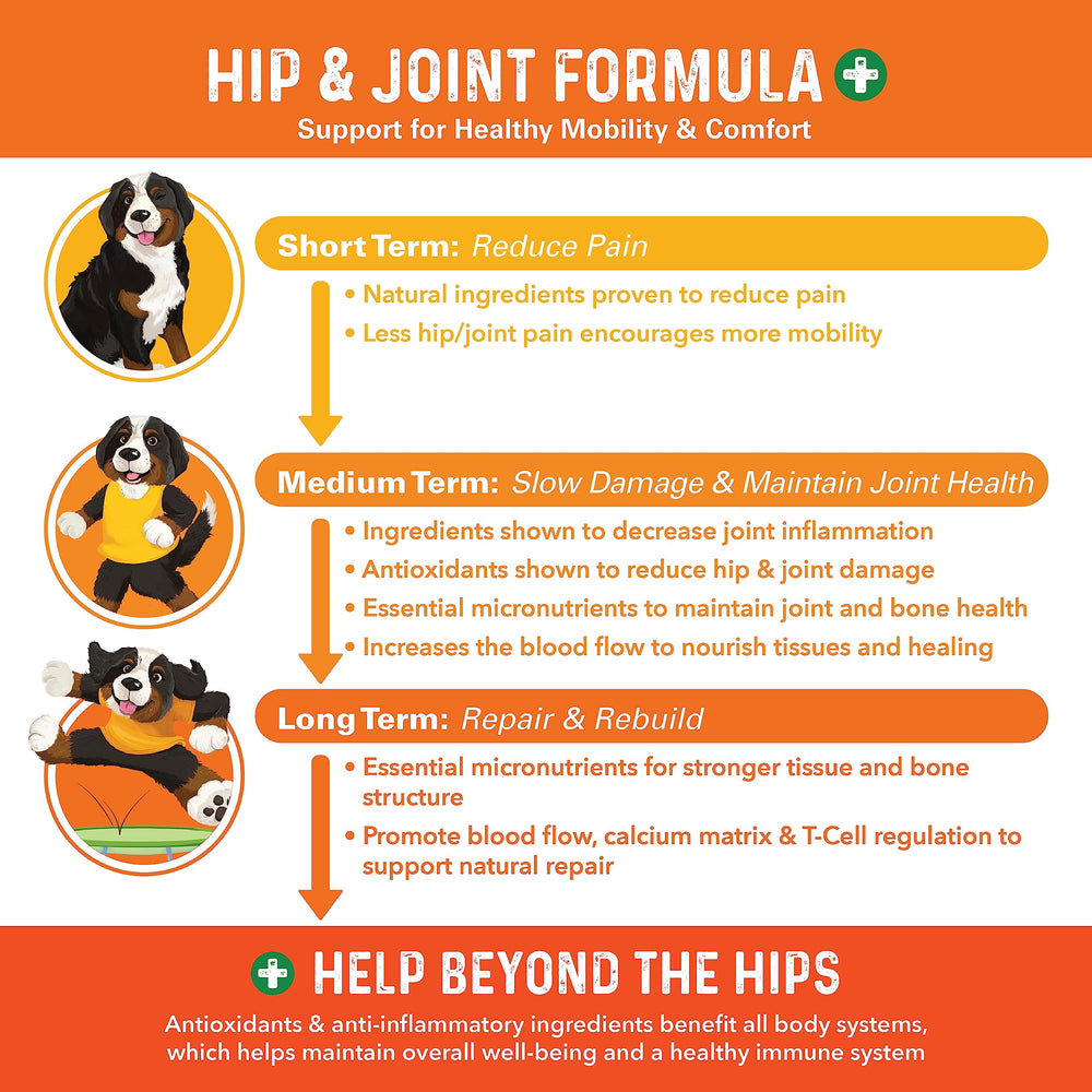 Bernie's Healthy HIPS bottle close-up highlights natural joint health ingredients.