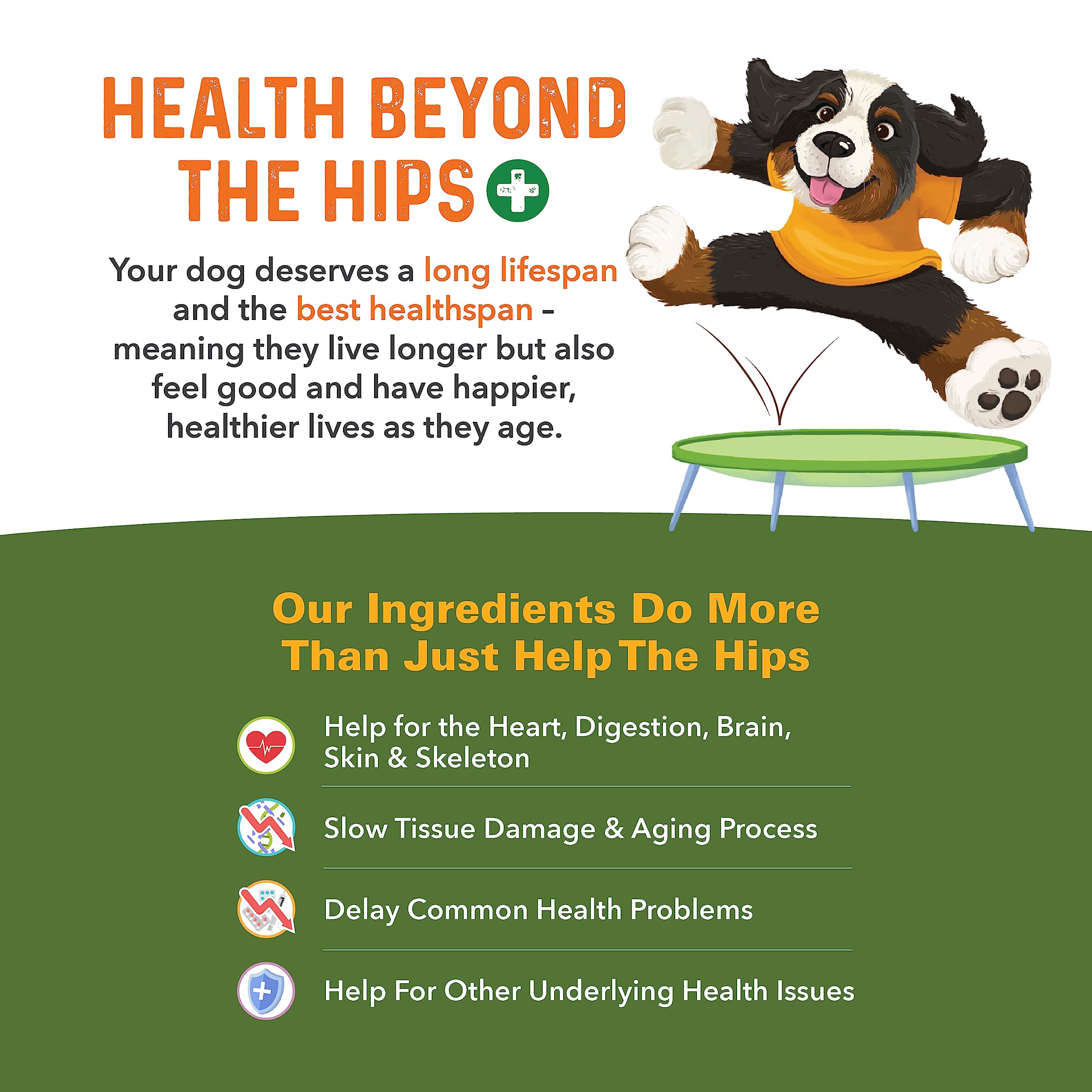 Bernie's Healthy HIPS easy to digest chews support daily joint care.