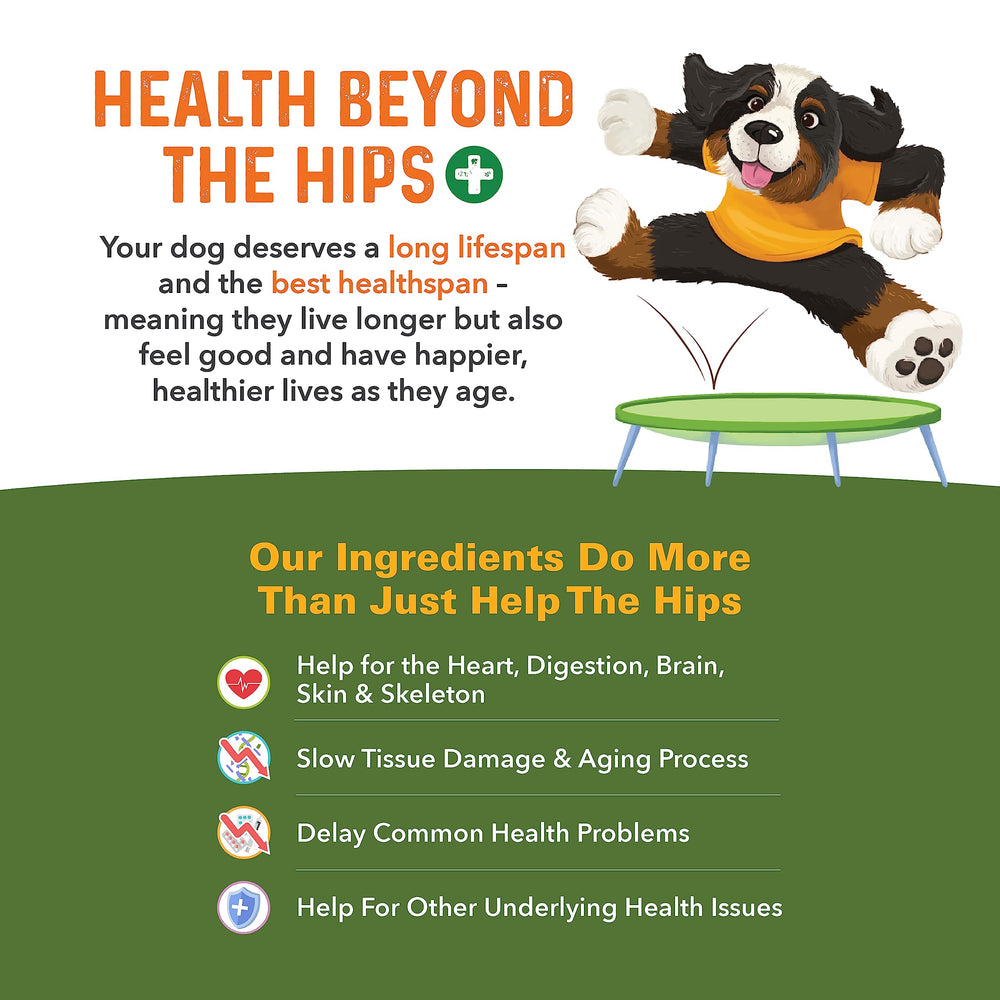 Bernie's Healthy HIPS easy to digest chews support daily joint care.
