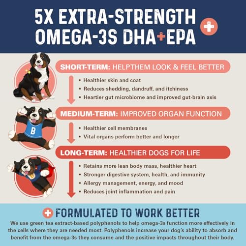 Bernie's OMG Omegas Chews label highlights salmon flavor and benefits