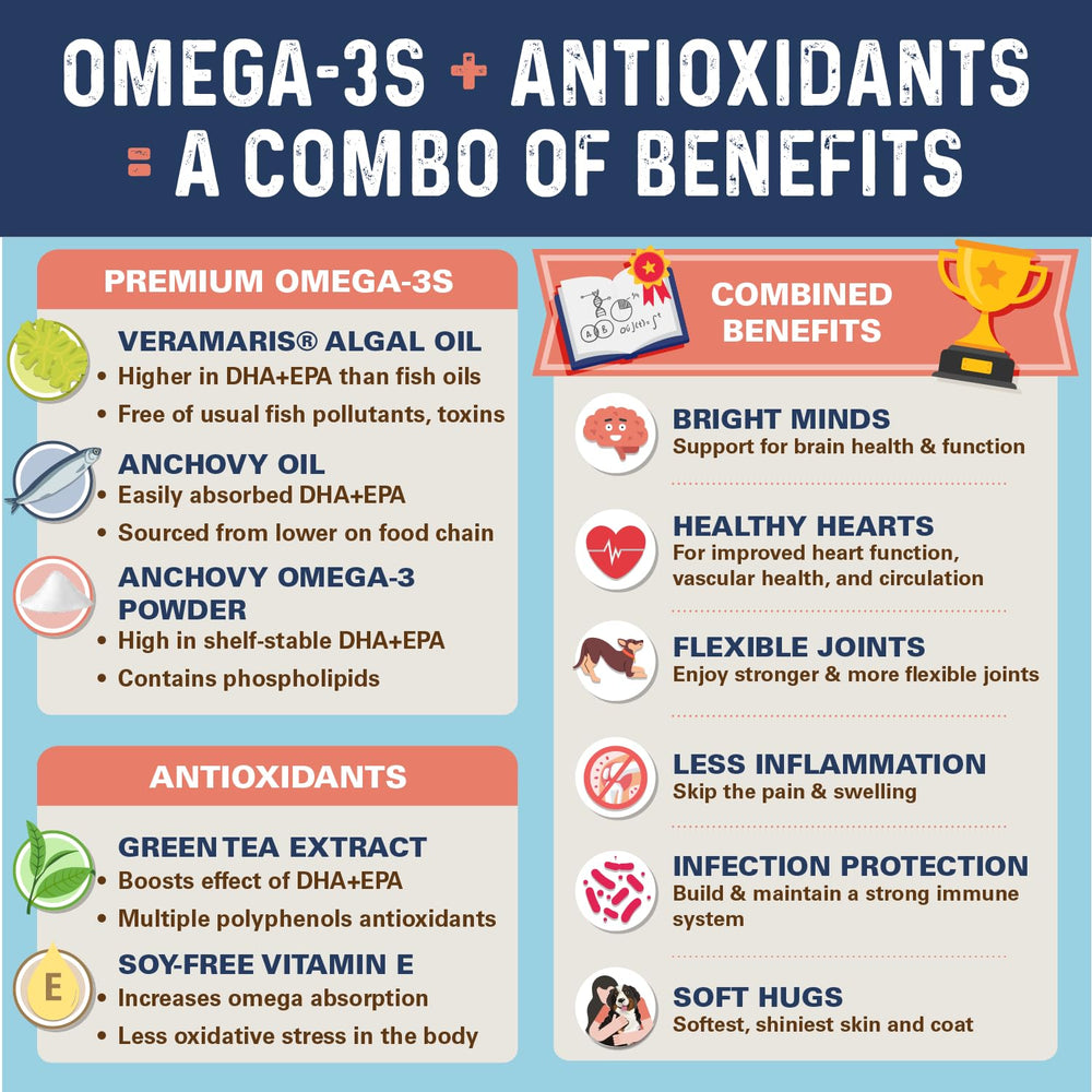 Bernie's OMG Omegas Chews served in bowl illustrate simple daily dosing for busy households