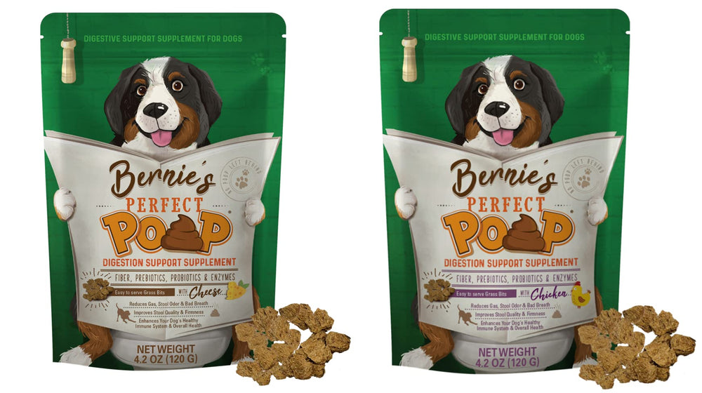 Bernie's Perfect Poop bottle pour demonstrates easy daily serving for canine digestion support
