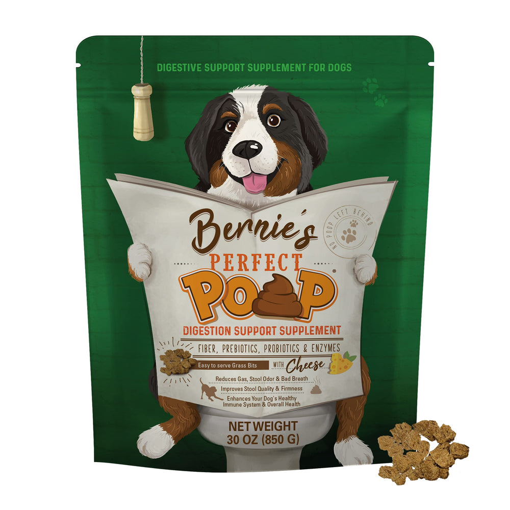 Bernie's Perfect Poop bottle on the counter shows convenient gut support for dogs.