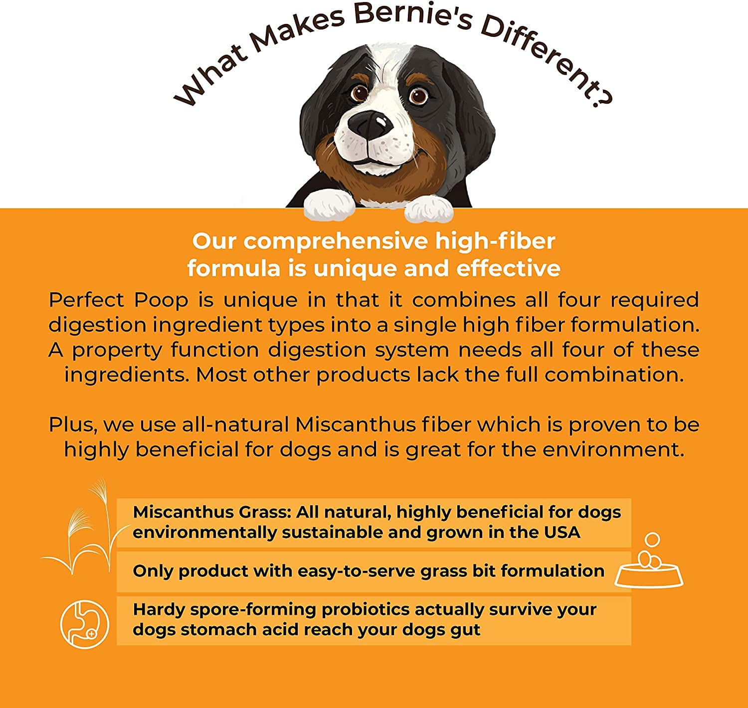 Bernie's Perfect Poop: fibra y prebióticos para un tracto digestivo equilibrado.