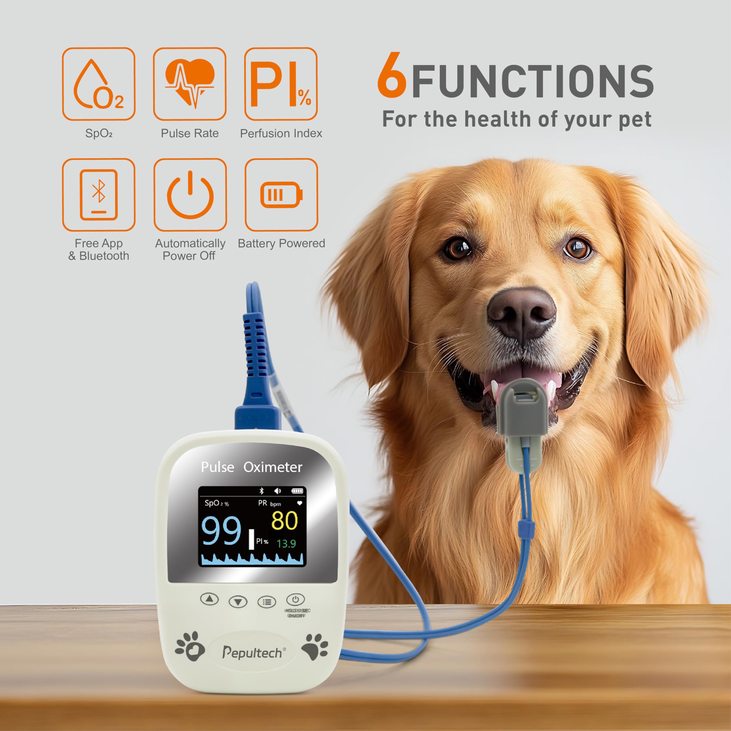BERRY AM1000A-Vet tongue-probe ready for quick pet assessment.