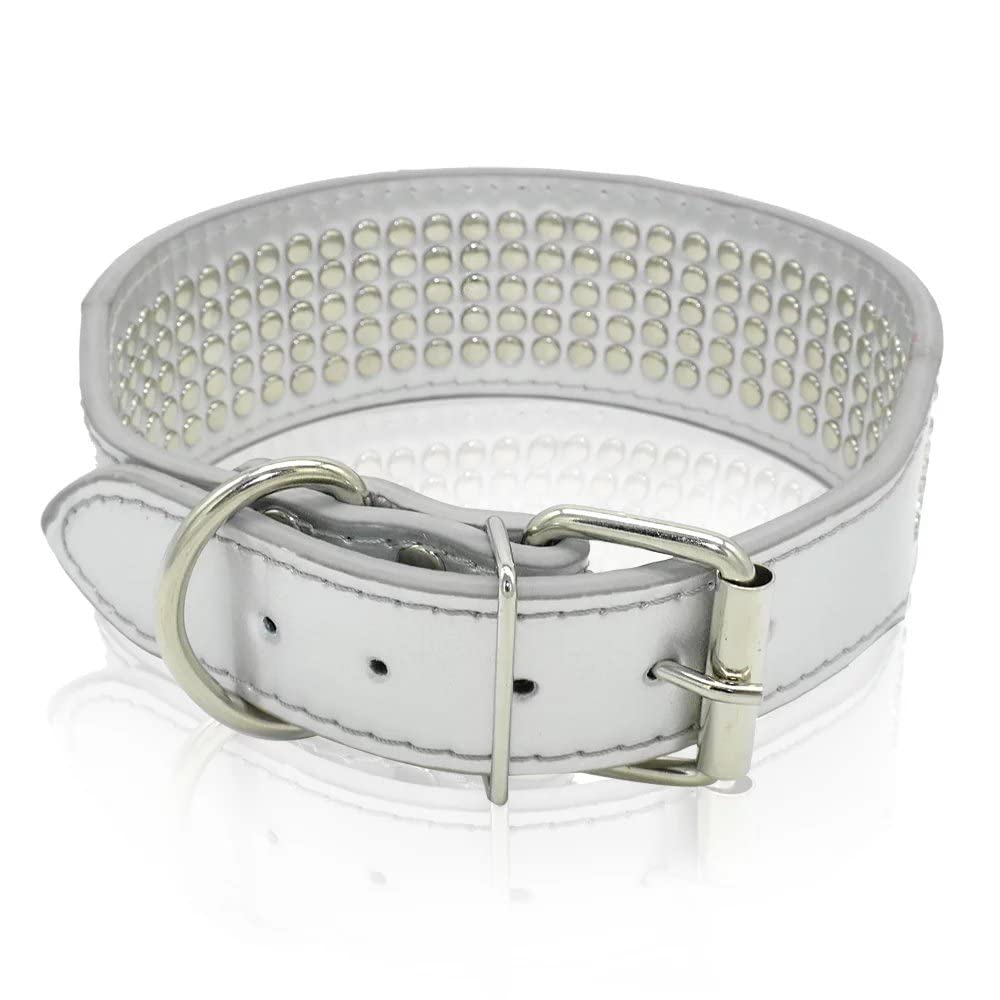 Berry Pet Rhinestones Collar on a large dog during outdoor walk
