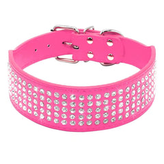 Berry Pet rhinestones dog collar close-up showing crystal bling for stylish photos
