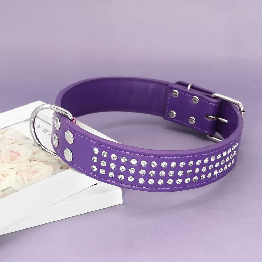Berry Pet rhinestones dog collar D-ring and leash attachment shown during walking