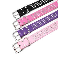 Berry Pet Rhinestones dog collar detail highlights durable leather and long-lasting shine.