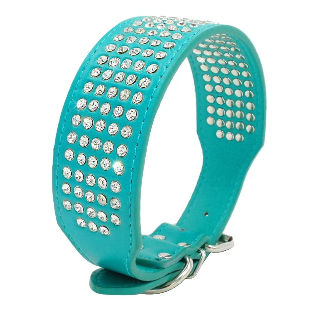 Berry Pet Rhinestones dog collar turquoise view highlights bold color for stylish outings