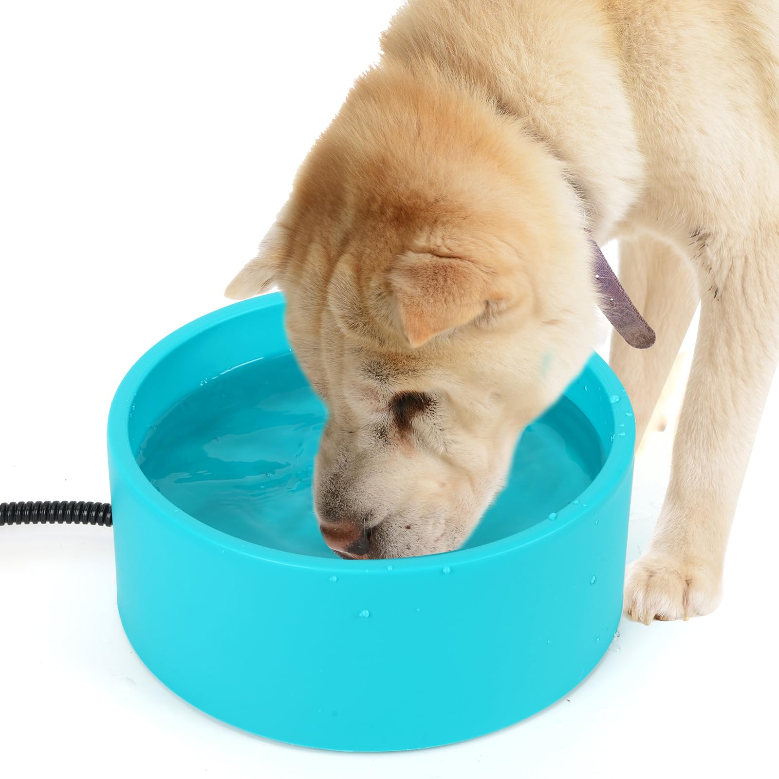 Berverra heated dog bowl outdoors keeps water from freezing for pets.