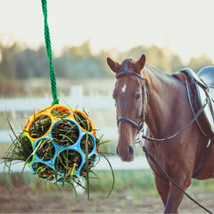 Besimple horse feeder ball hanging in stable red encourages playful feeding and exploration.