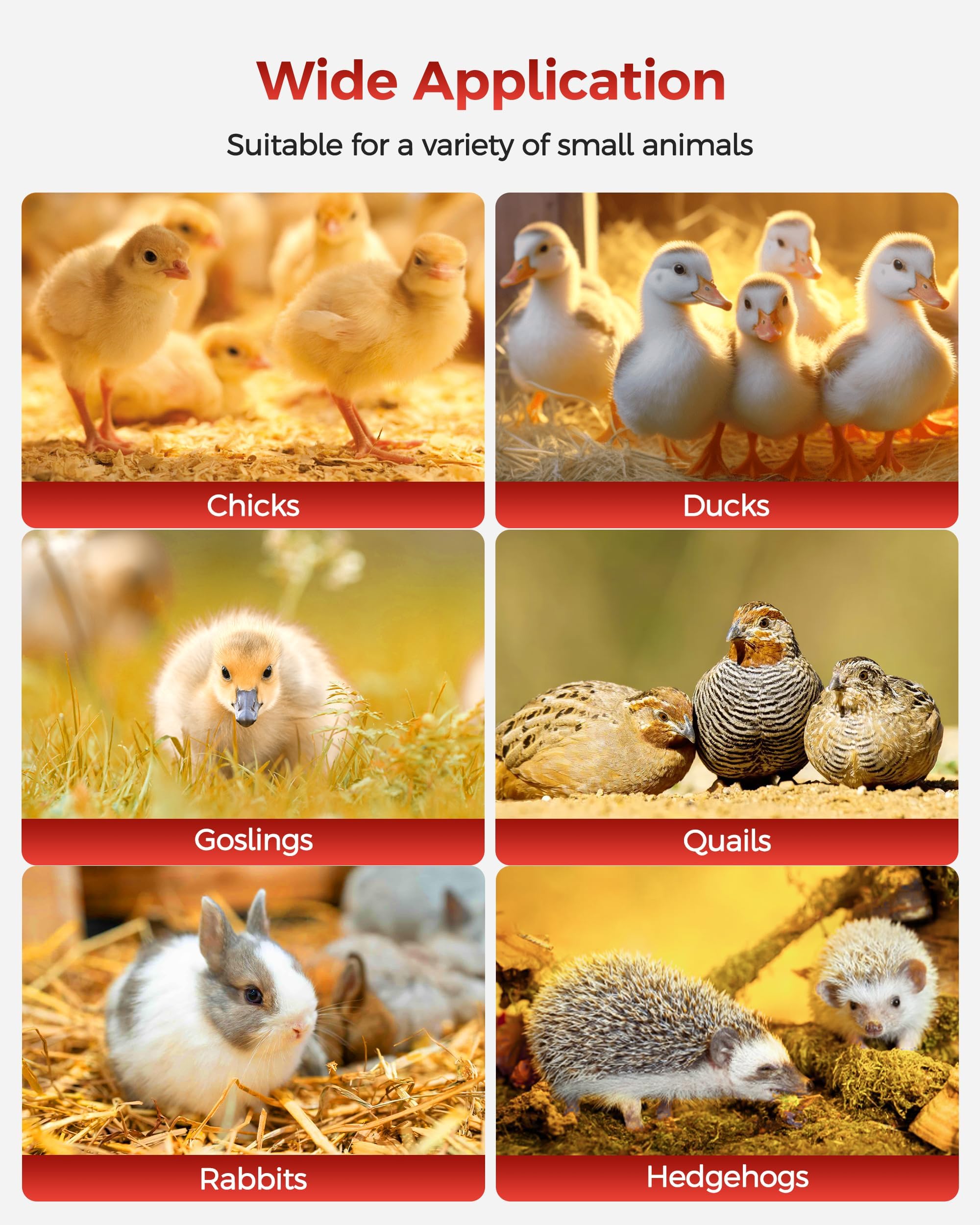 Besly Large Brooder Box waterproof fabric simplifies cleaning after use.