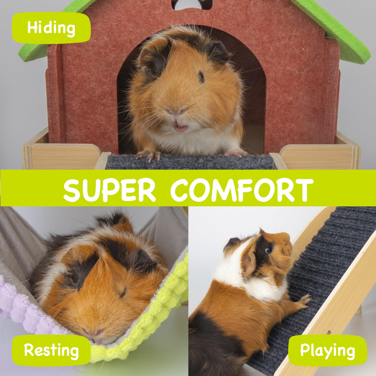BESNEW guinea pig platform photo highlights elevated perch for climbing and exploration.