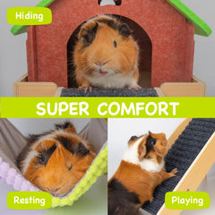 BESNEW guinea pig platform photo highlights elevated perch for climbing and exploration.