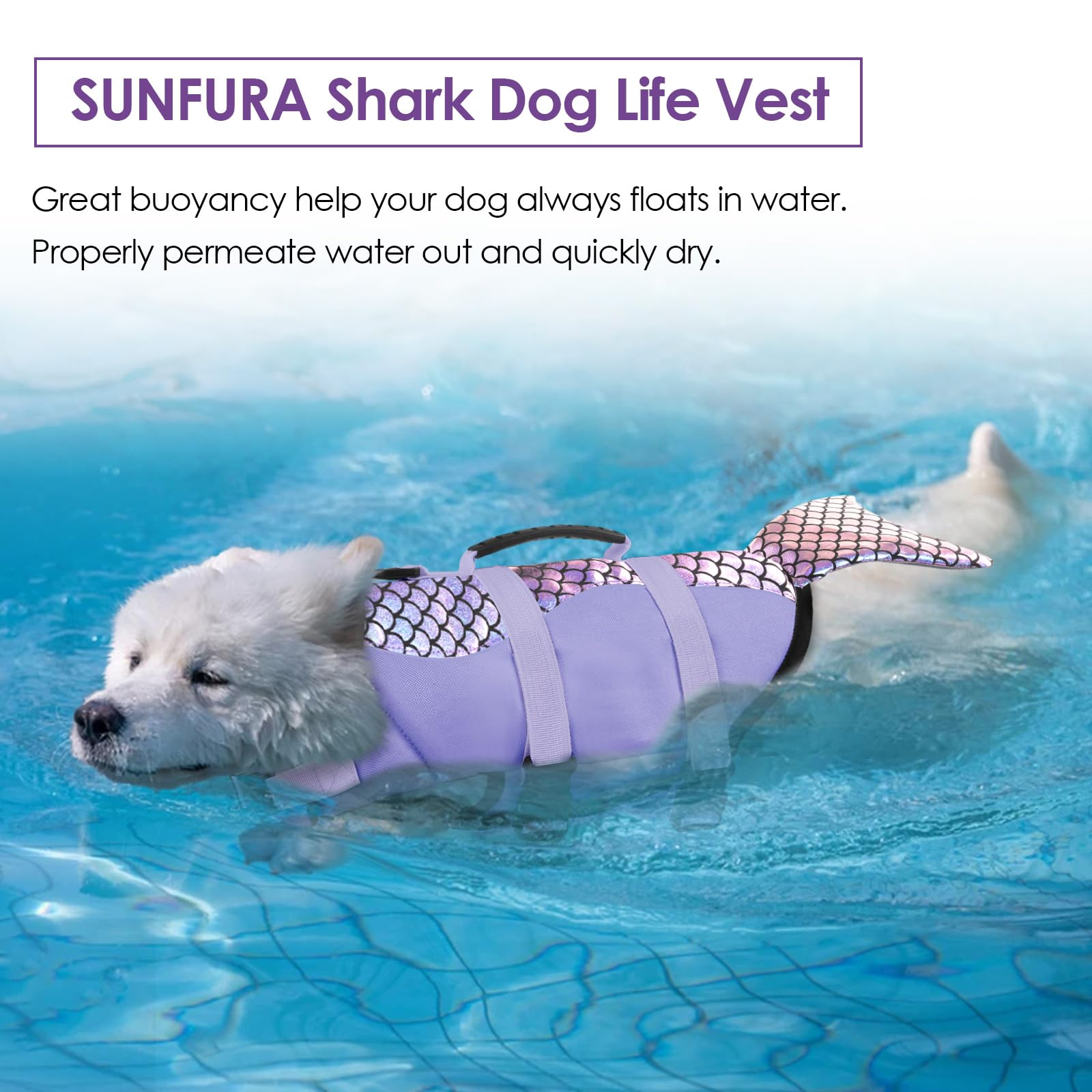Bess Bridal dog life jacket in-water action for boating safety.