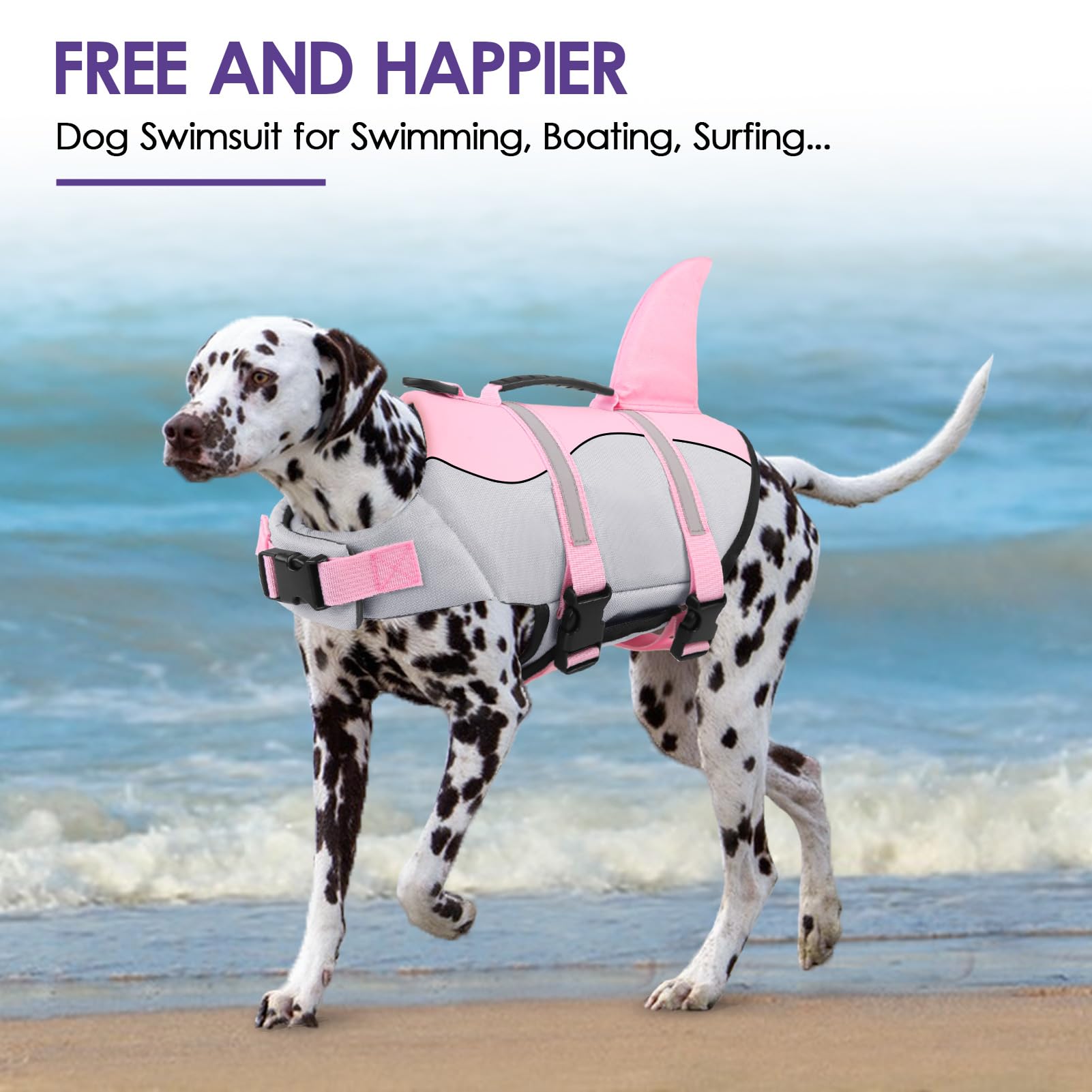 Bess Bridal dog life jacket with reflective trims enhances visibility at dusk.