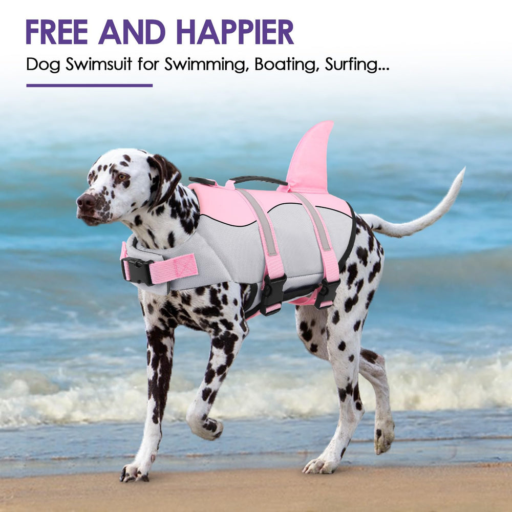 Bess Bridal dog life jacket with reflective trims enhances visibility at dusk.