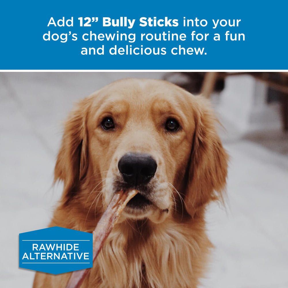 Best Bully Sticks 12in use-case image shows puppy and large-dog chew scenario.
